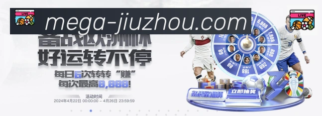 未来规划